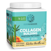 USA-Collagen-500g-Van-ThreeQuarter